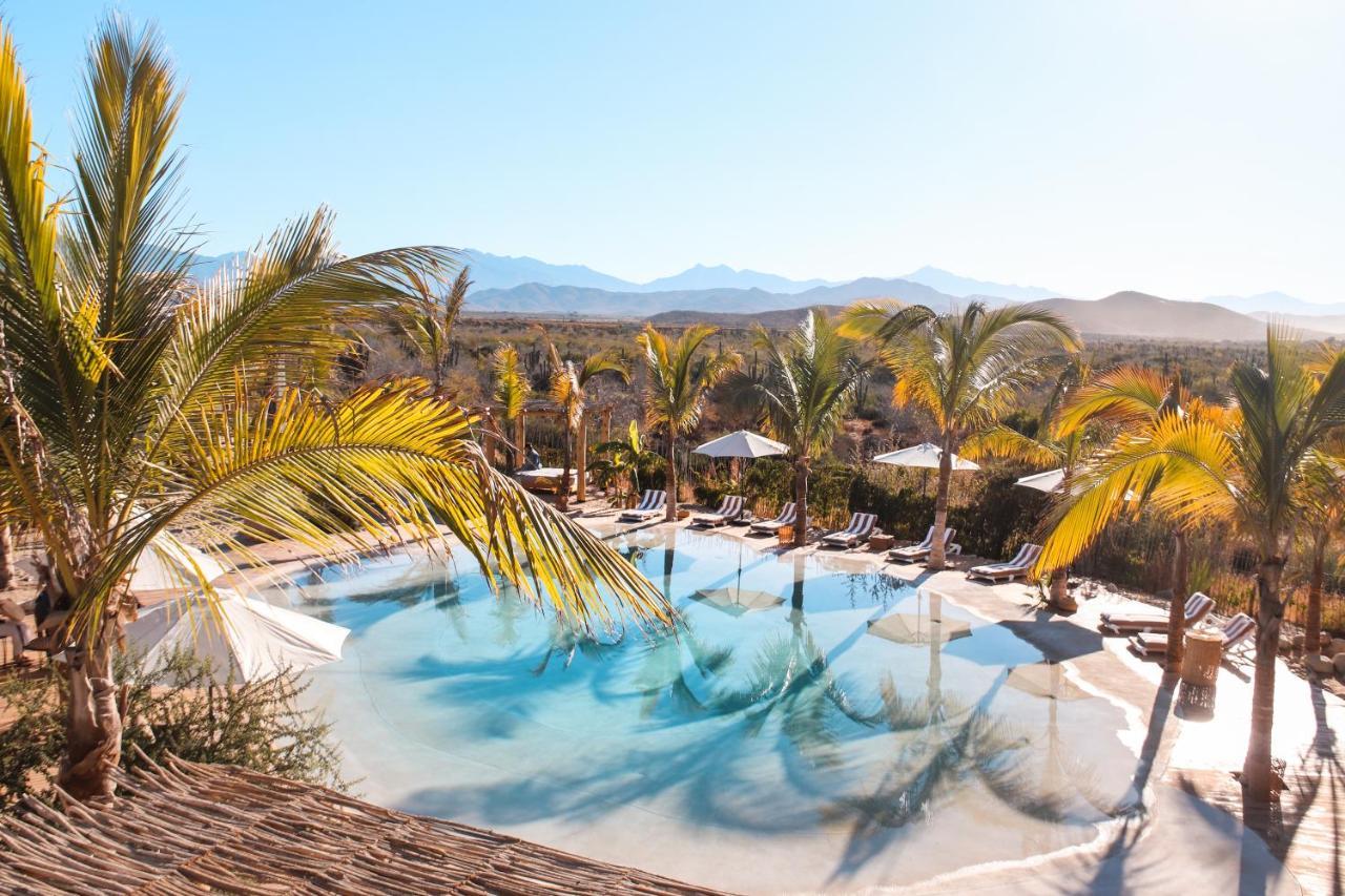 Baja Nomads Hotel - Adults 15 Plus Todos Santos Dış mekan fotoğraf
