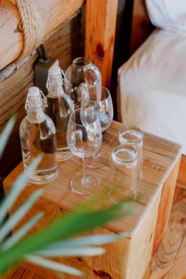 Baja Nomads Hotel - Adults 15 Plus Todos Santos Dış mekan fotoğraf