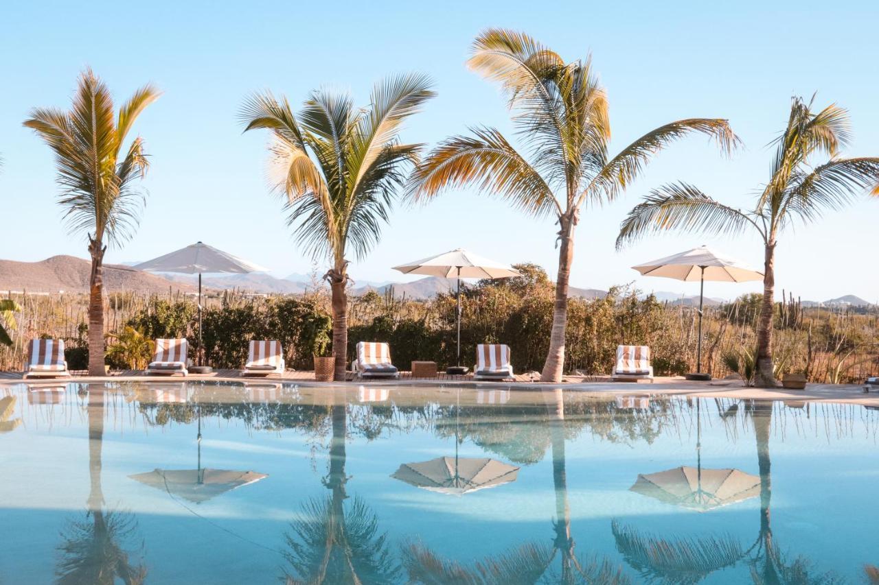 Baja Nomads Hotel - Adults 15 Plus Todos Santos Dış mekan fotoğraf